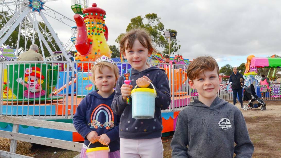 FUN TIMES: Hicks siblings Maisie, 3, Emma, 6 and Austin, 8 went to the previous fun fair with their dad. Picture: ALISON FOLETTA
