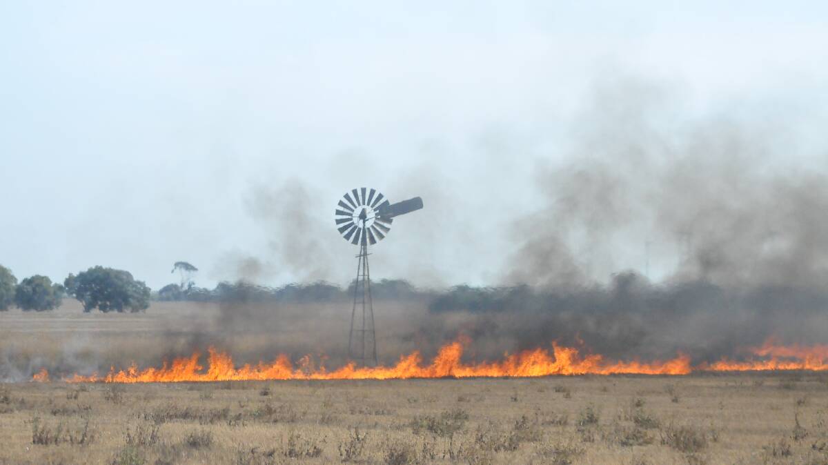 Reminder to protect valuable paddock trees when burning stubble