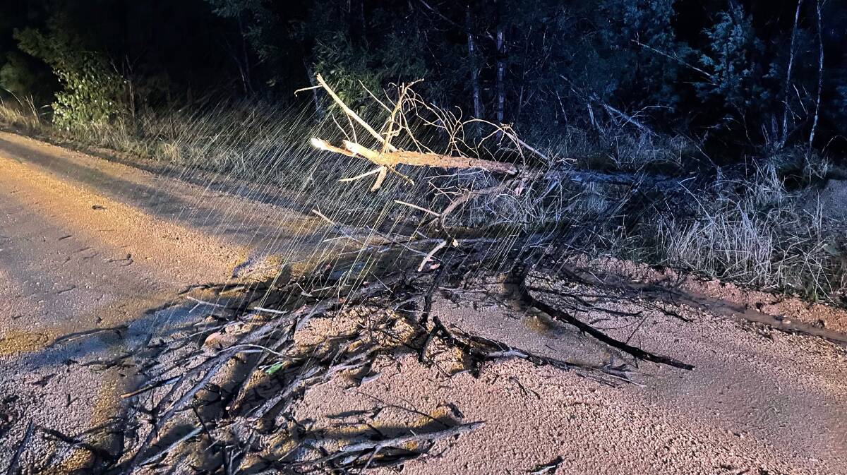 CLEAN UP: Stawell SES were busy with the clean up of trees on roads. Picture: STAWELL SES
