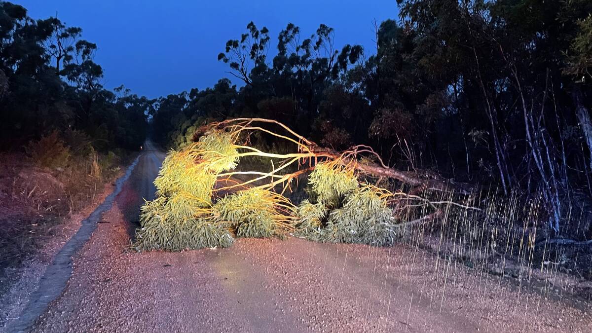 BLOCK: Fallen trees blocked roads around the region on Wednesday. Picture: STAWELL SES