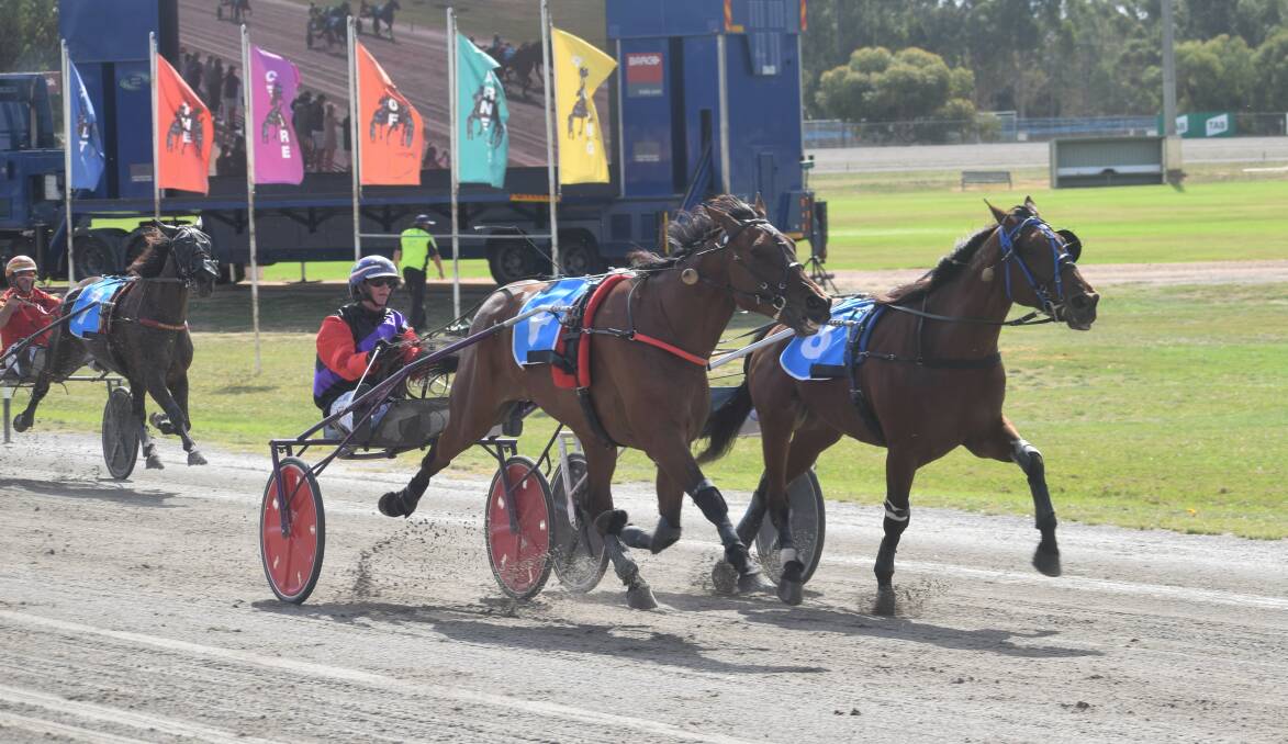 TOUGH AS NAILS: The Penny Drops, driven by Kerryn Manning, gets the better of Havehorsewilltravel (Kate Gath) to win the $30,000 Group 2 Charlton Trotters Cup on Sunday. Picture; KIERAN ILES