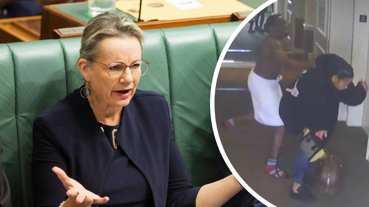 Deputy Liberal leader Sussan Ley has urged radio stations to ditch Sean "Diddy" Combs after leaked CCTV showed him assaulting R&B singer Cassie. Picture by Sitthixay Ditthavong/AP PHOTO