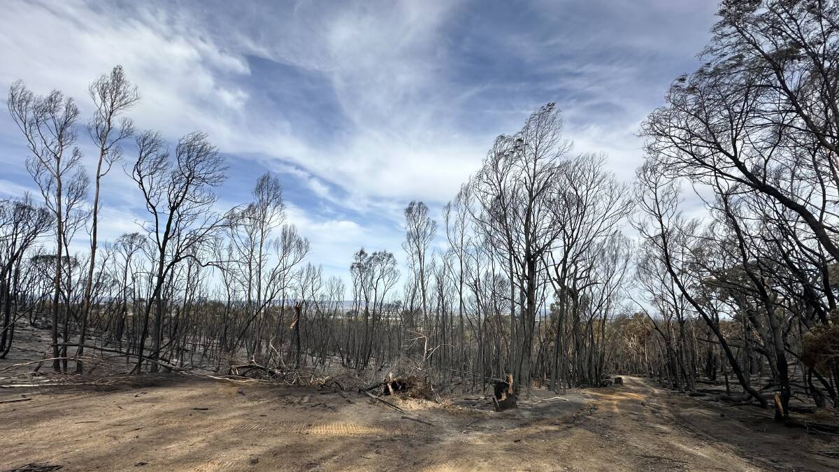 Member for Mallee, Dr Anne Webster has requested federal emergency minister Murray Watt activate commonwealth funding for victims of the bushfire emergencies. Picture supplied